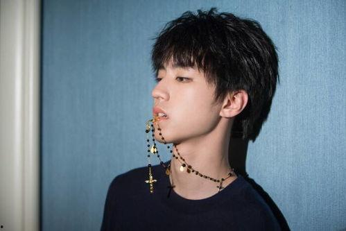 娱乐吃瓜蜀黍王俊凯小说,娱乐圈的甜蜜瓜田  第3张