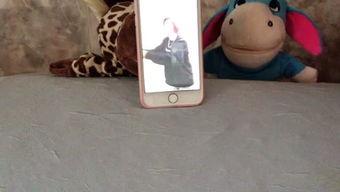 吃瓜娱乐呱,揭秘娱乐圈背后的趣味故事  第3张