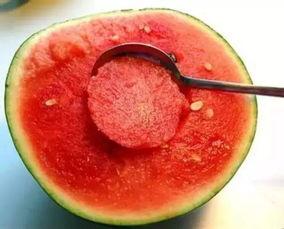 娱乐吃瓜酱美玉视频大全,美玉视频大全精彩回顾  第2张