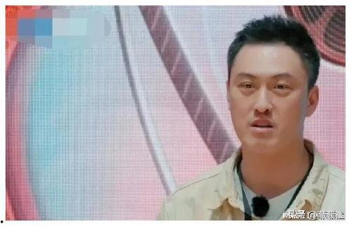 娱乐圈历届吃瓜的是谁啊,娱乐圈历届“吃瓜群众”风云录  第3张