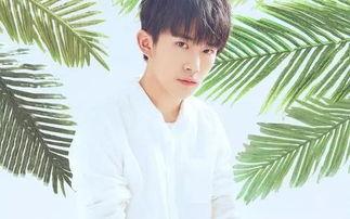 吃瓜直播间爆料娱乐圈易烊千玺,吃瓜直播间独家爆料揭秘