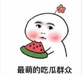 娱乐吃瓜酱艾特出你朋友圈,【娱乐吃瓜酱独家揭秘】朋友圈热传事件深度解析  第3张