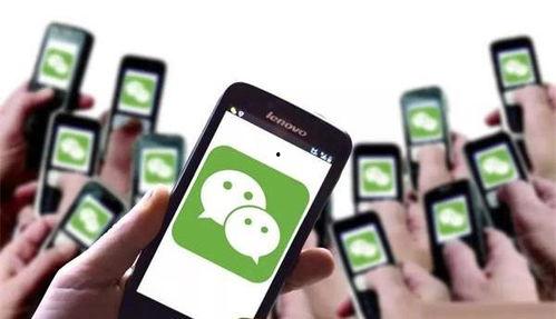 吃瓜福利爆料群微信,微信中的神秘信息乐园  第3张