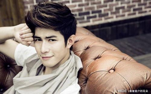 吃瓜爆料王瑞昌,王瑞昌背后的故事揭秘  第2张